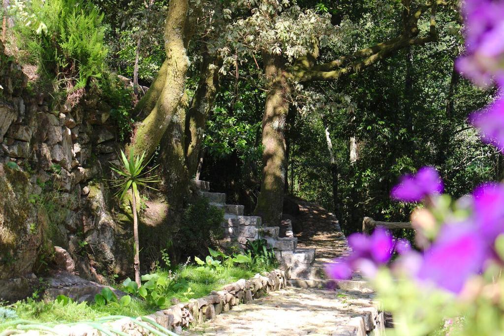 Moinho Do Azere Villa Arcos de Valdevez Dış mekan fotoğraf